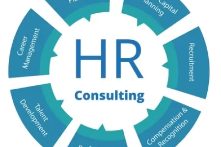 Human-Resources-Consulting​